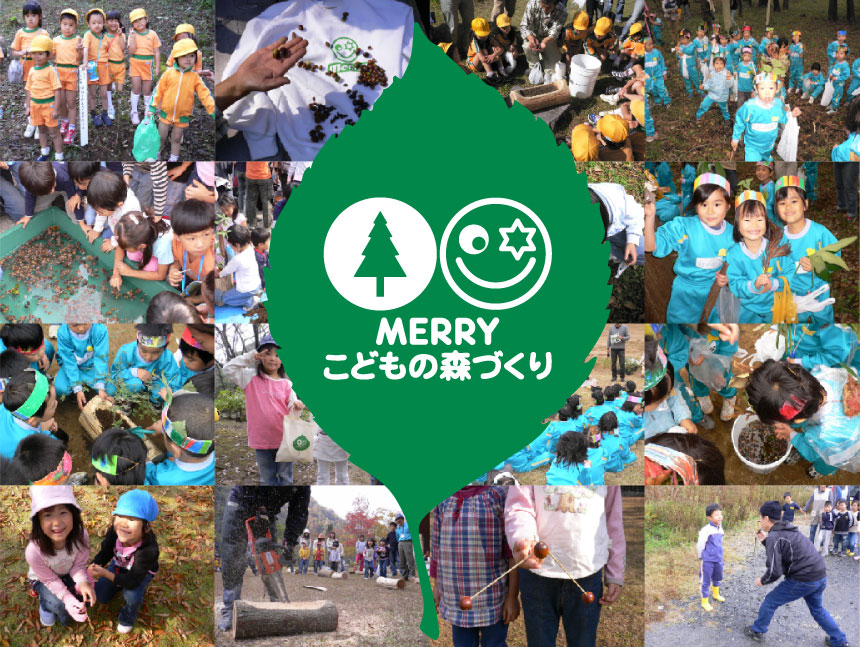 MERRY FOREST PROJECT image