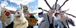 2011年は、ウサギ