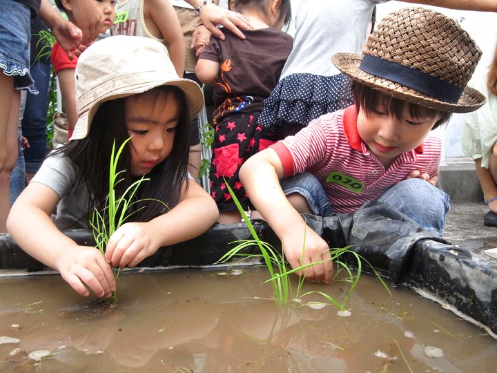 〈参加者募集中！〉Merry Farming 屋上農園
「田植え＆お米を楽しもう」
2013年5月11日（土）