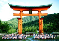 Merry Umbrella Project in Miyajima