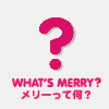 WHAT'S MERRY?　メリーって何？
