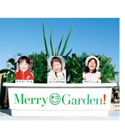 MERRY MESSAGE CD & DVD